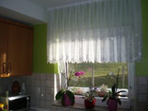 image-gallery-item